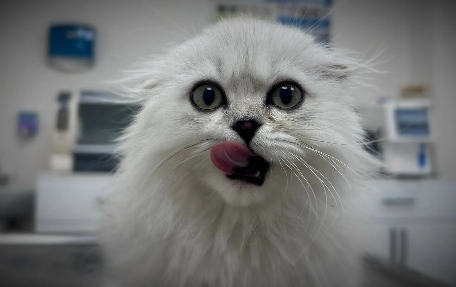 Aşılama Programımız